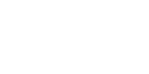 falke-logo-web-development-agentur-berlin
