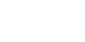weiß-wordress-logo-web-development-agentur